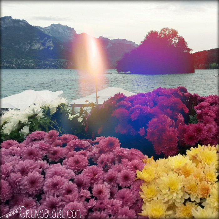 annecy_blog_flowers-11-2013